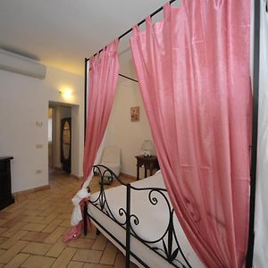 Romantica Pucci